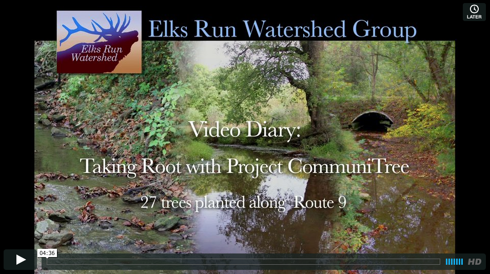 CommuniTree Planting Video
