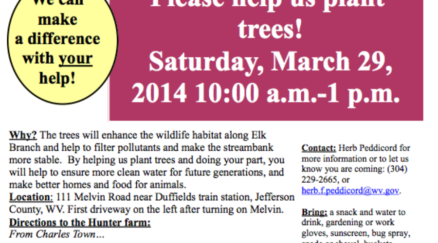 Help us plant trees, March 29