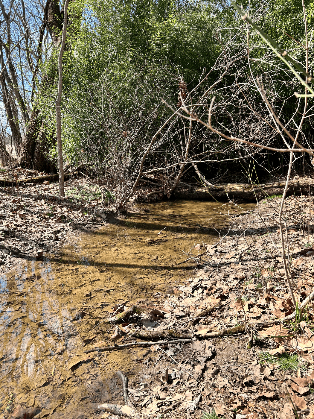 Elks Run watershed