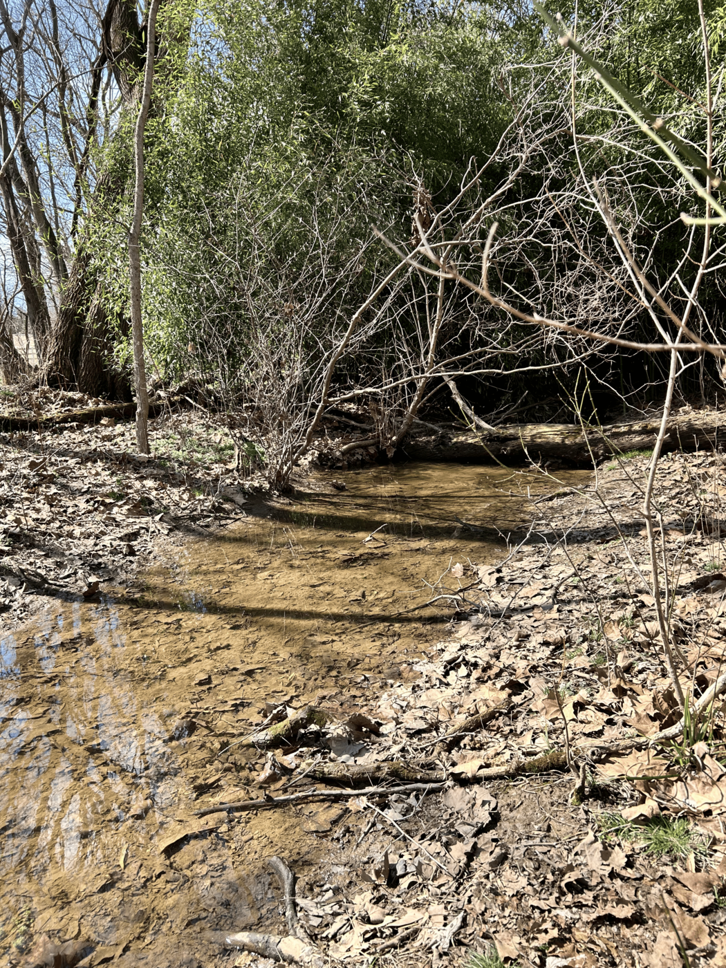Elks Run flowing through the watershed